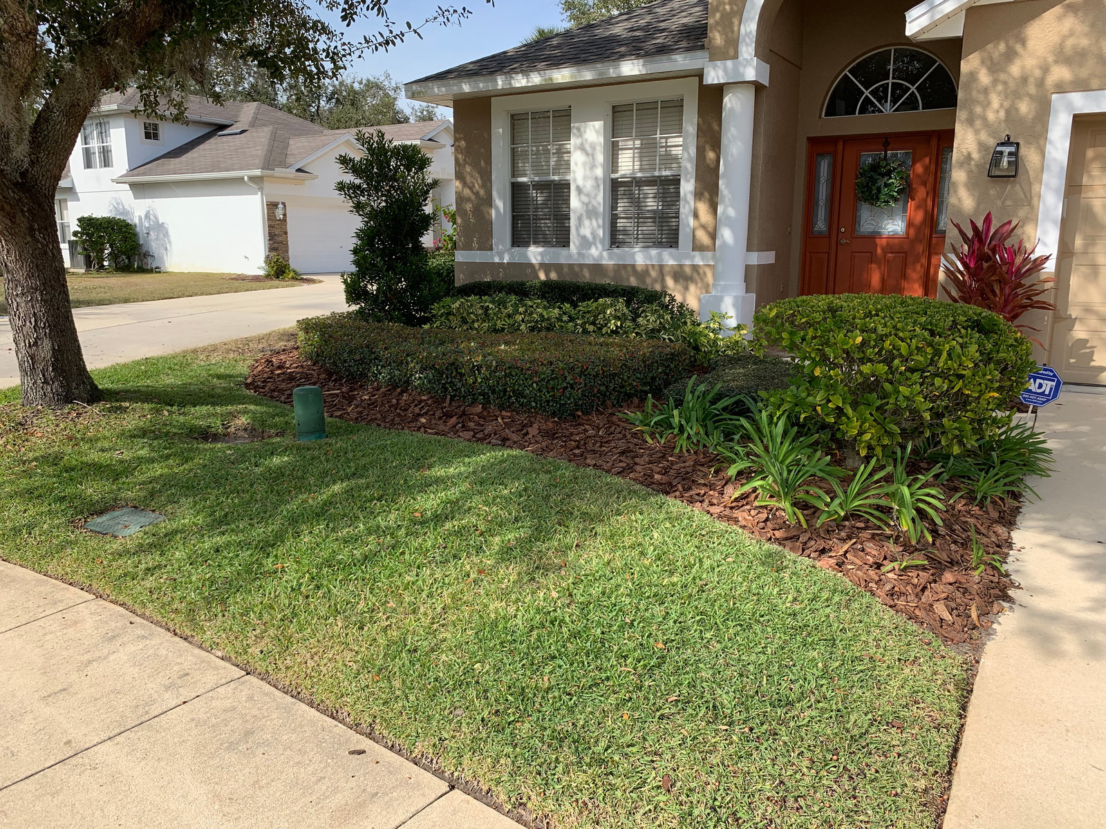 Front yard of a home with a full green lawn and trimmed bed by the entry