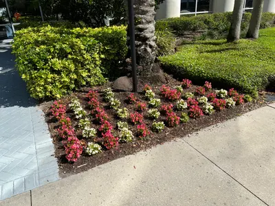 Rows of red and pink seasonal flowers along clipped hedges at an entrance