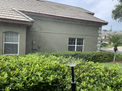 Pop-up sprinkler head running in a hedge bed beside a house