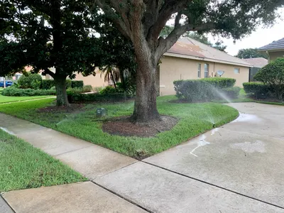 Sprinklers watering a shaded front lawn and walkway