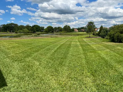 Wide freshly mowed lawn with crisp mowing stripes beside a pond under a blue sky