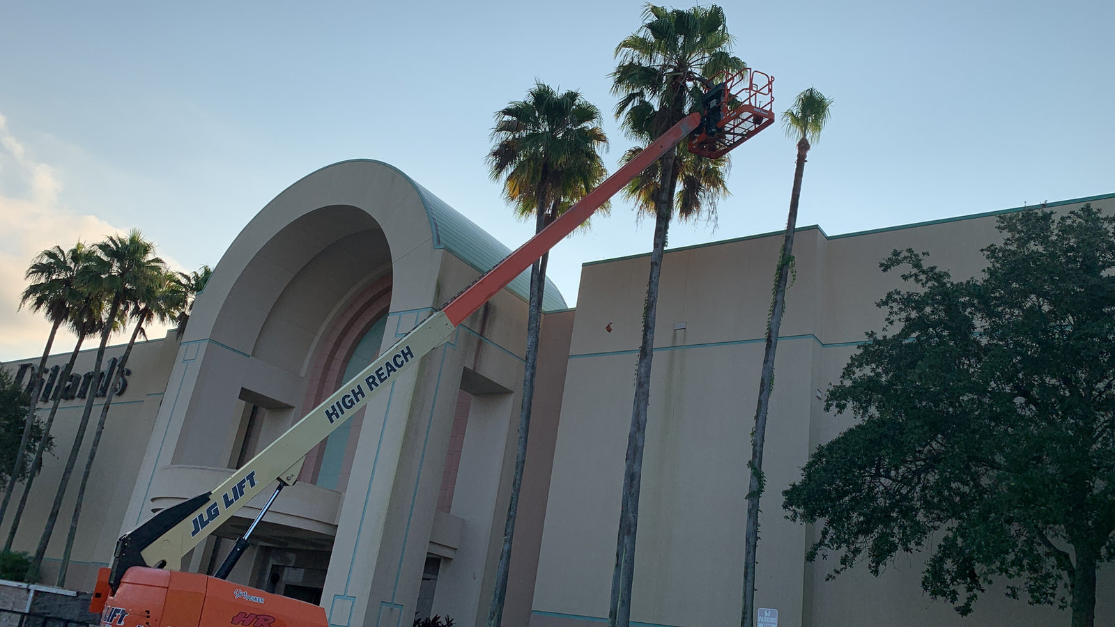 Crew member on a lift trimming palms at a commercial property