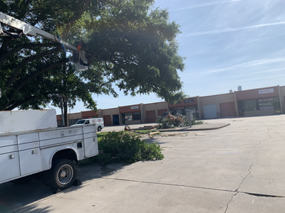 Work truck on a commercial lot during a tree trimming job